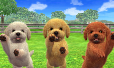 DOG TRAINER NINTENDOGS SCARICARE